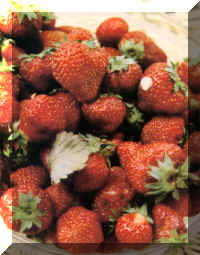 fraises.jpg (67595 octets)